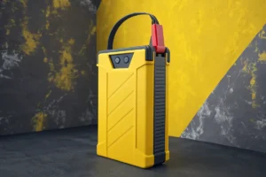 Choisir une poire d’amorçage&nbsp;: caractéristiques, options et prix