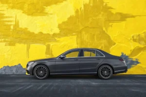 Permis Tmax : quel permis et quelles démarches pour conduire un Yamaha ?